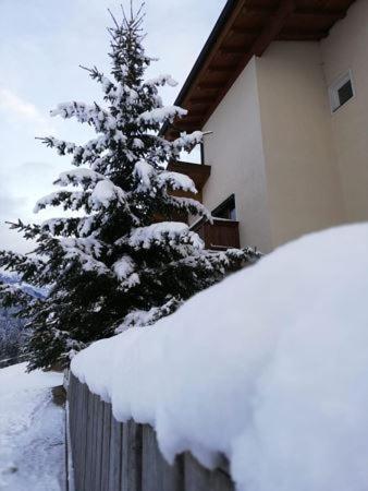 Appartement Nani Söll Exteriör bild